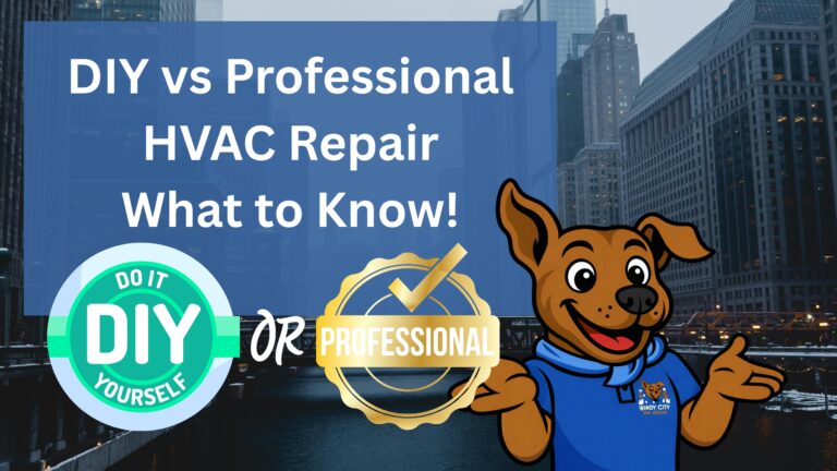 DIY vs professional HVAC repair: what to know, with cartoon Eddy