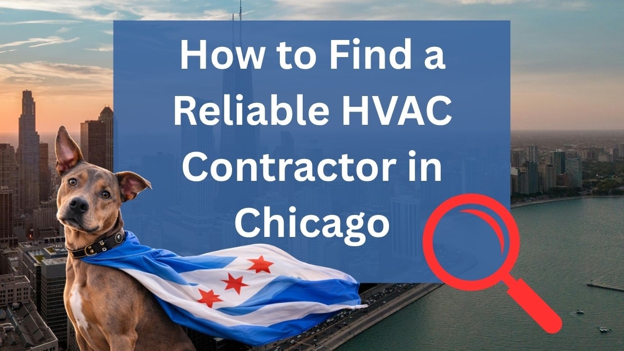 Eddy with a Chicago flag and the title How to Find a Reliable HVAC Contractor in Chicago