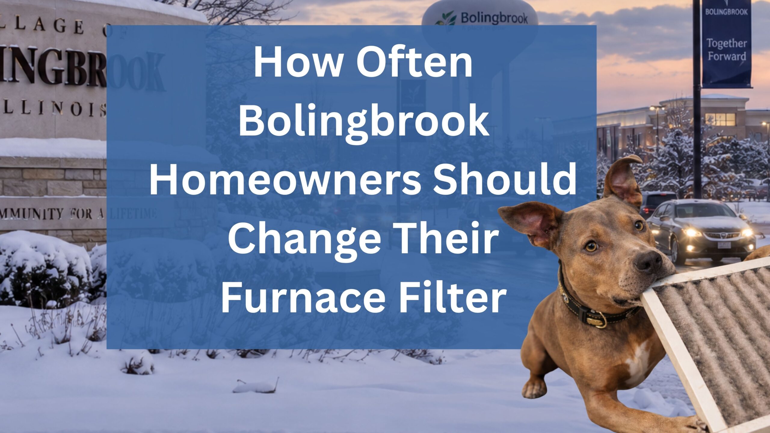 Eddy holding a dirty furnace filter with the title How Often Bolingbrook Homeowners Should Change Their Furnace Filter