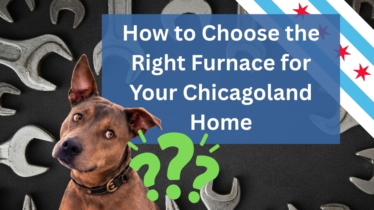 Eddy the dog with the title How to Choose the Right Furnace for Your Chicagoland Home