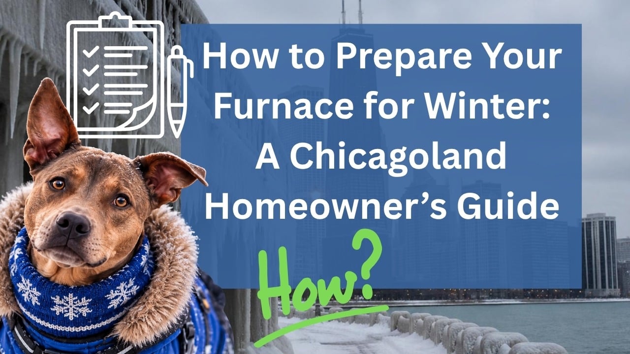 Eddy, the Windy City HVAC Repair dog, ready for winter