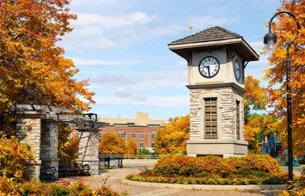Naperville clock tower with fall color