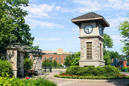 Naperville clock tower and park in summer
